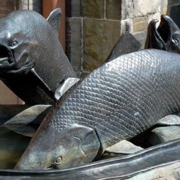 The 2024 Scotland salmon season registers a 36% 4-month growth 