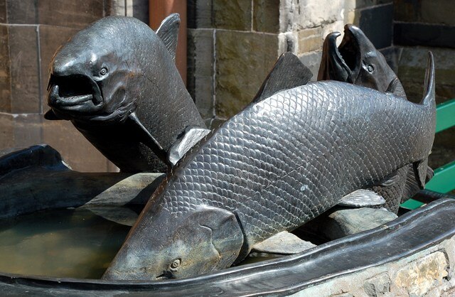 Representation of leaping salmon at Peebles, UK: Credit, Wikimedia Commons The 2024 Scotland salmon season registers a 36% 4-month growth