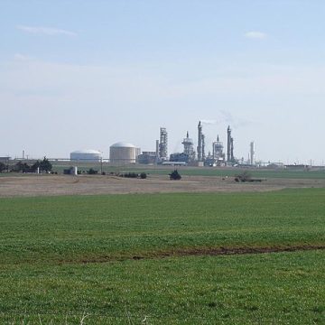 Oklahoma Wheat field