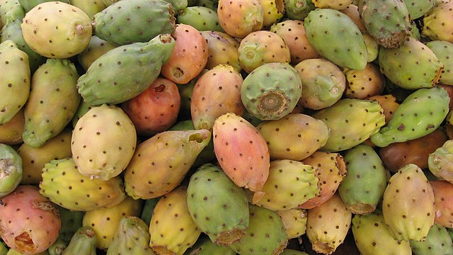 Prickly pear (Opuntia ficus-indica): Credit, Wikimedia Commons Ripe cactus fruits