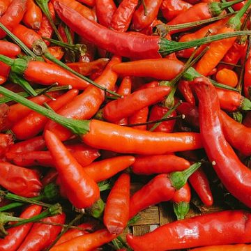 Maximum residue levels for vegetables getting stricter, says Vietnam