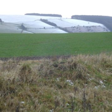 Winter wheat, rye post early yields in Manitoba’s multi-crop harvest
