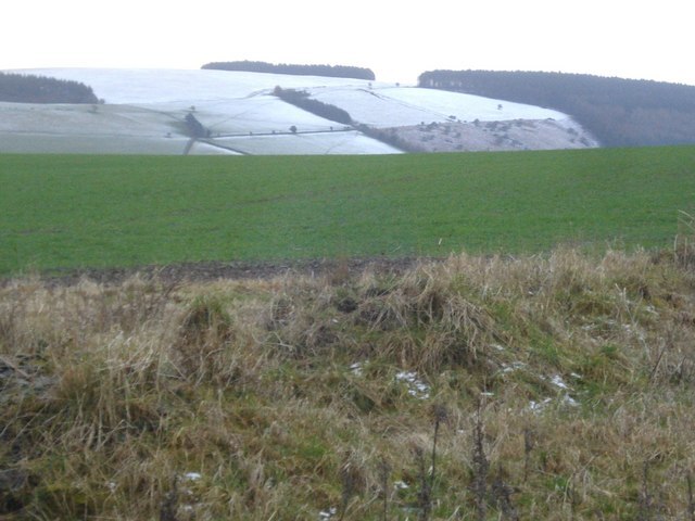 Snowed over winter wheat: Credit, Wikimedia Commons Winter wheat, rye post early yields in Manitoba’s multi-crop harvest