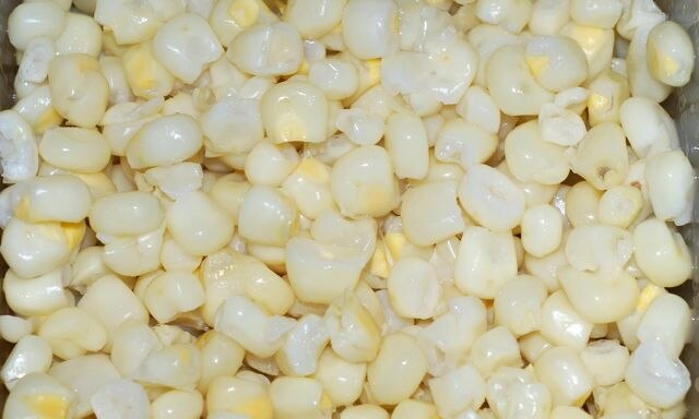 Sweet white maize: Credit, Wikimedia Commons Maize prices help expand South Africa’s 2024/25 grain area