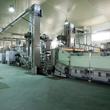 Agricultural plan for rural modernization unveils in China    