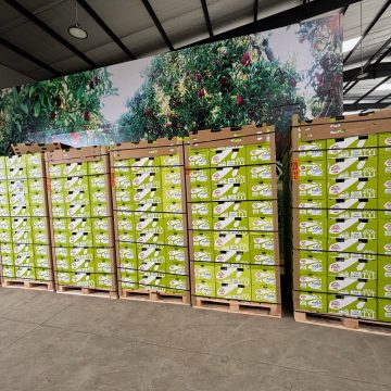 Fruitbox brings Zespri kiwifruit to Kenya: “cost is less by doing direct routing” 