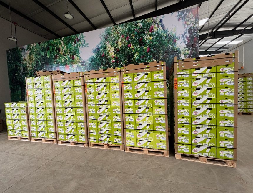 Zespri brand kiwi fruit at Fruitbox’s state-of-the art facilities near Nairobi, Kenya. Fruitbox brings Zespri kiwifruit to Kenya: “cost is less by doing direct routing”