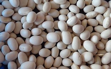 Soy: Credit, Wikimedia Commons The Brazil soy sector lopes 2025 exports higher