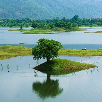 Farmers welfare, irrigation get lion’s share of India’s agriculture budget