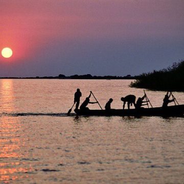 Sardine stock in Lake Tanganyika recovers after 90-day ban