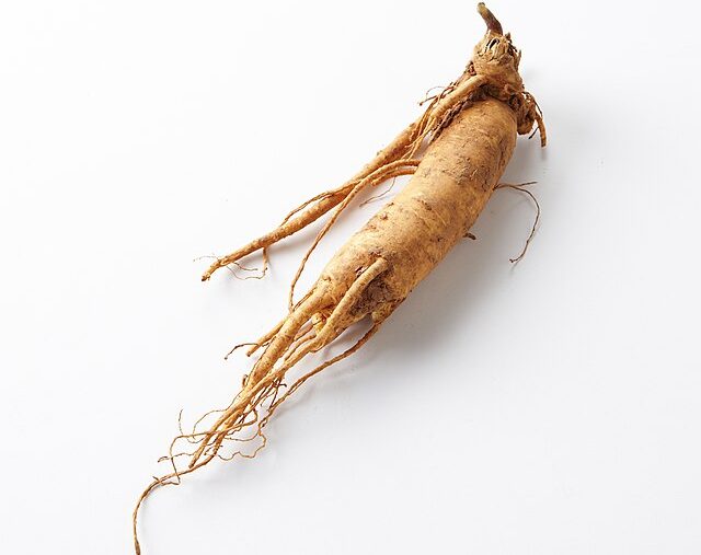 Ginseng: Credit, Wikimedia Commons Ginseng Festival in Marathon County celebrates local riches