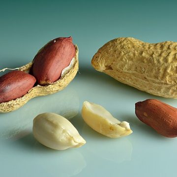 The Georgia peanut could pave way for new Farm Bill