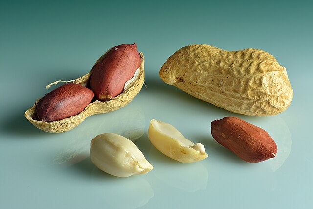Peanuts (Arachis hypogaea): Credit, Wikimedia Commons The Georgia peanut could pave way for new Farm Bill