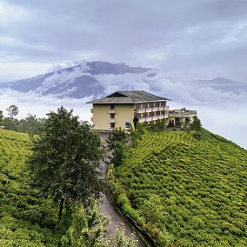 Northeast India tea growers stand at extensive imports crossroads