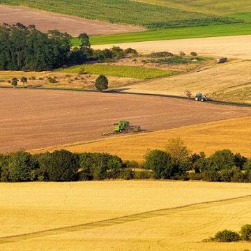 Czech Republic’s agricultural producer prices climb 8.1%