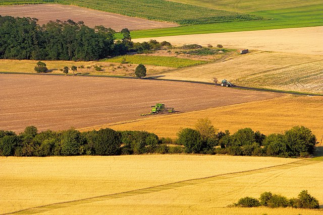 Czech Republic’s agricultural producer prices climb 8.1%