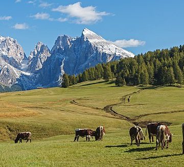 Meloni hails Italy’s topping EU agricultural growth 