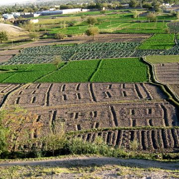 Afghan agriculture makes inroads in irrigation, fish farming 