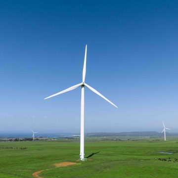 Wind farms in South Africa “provide a substantial income to the local community”-Red Cap Energy