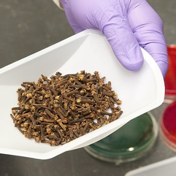 FDA recall of 60 baked goods stokes listeria awareness