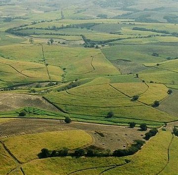 The South Africa sugar sector hopeful of tax moratorium