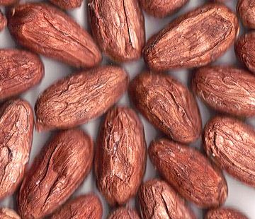 Raw cocoa sticks to $8,000 amid sinking demand