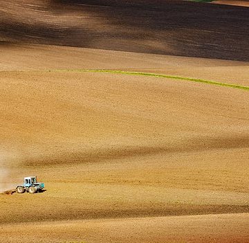 Farm imports from Ukraine to reduce significantly, says EU