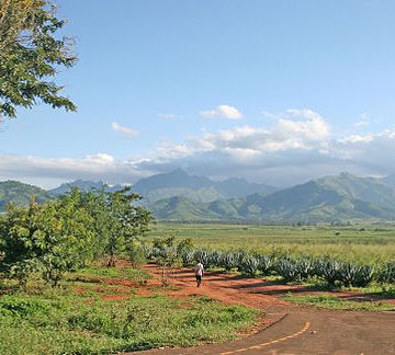 TZ ends agricultural embargo on two SADC members