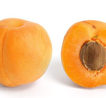 The Türkiye apricot sector pines after past export glory following snowfall