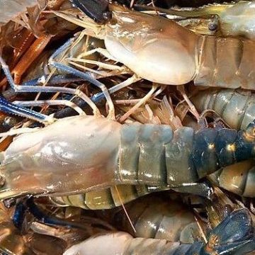 Lamb for prawns: monumental India-UK trade deal dawns