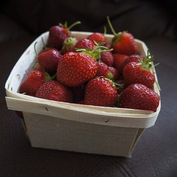 U-pick strawberry season getting huge in Michigan
