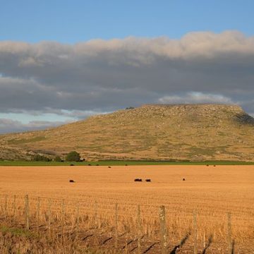Wheat planting in Argentina underway with high production hopes