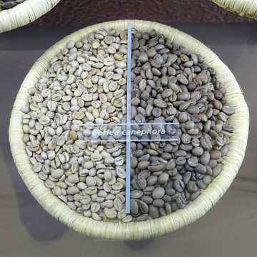 Coffee imports by Russia from Indonesia break records manifold 