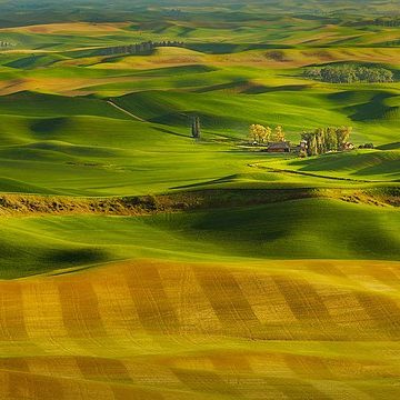 Winter wheat harvest in 2025 almost over in the U.S.