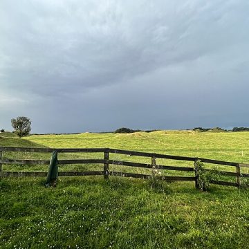 Kiwi grass-fed dairy certification targets China amid price surge