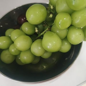 ‘Sunshine Rose’ grapes from Hunan initiate 2025 export campaign in Malaysia