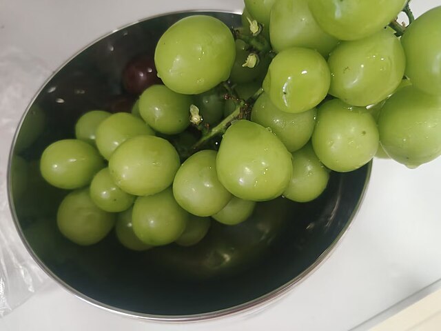 Shine Muscat grapes: Credit, Wikimedia Commons ‘Sunshine Rose’ grapes from Hunan initiate 2025 export campaign in Malaysia
