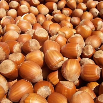 Hazelnut harvest in Türkiye declines, sways chocolate spread prices 
