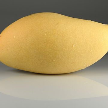 Tiandong and Guzhang escalate China’s summer specialty fruit exports 