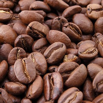 Saudi coffee city comes to life with 0.5 million trees