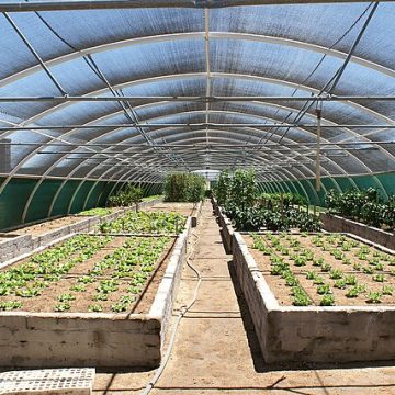Namibia on course to feeding itself through Green Schemes