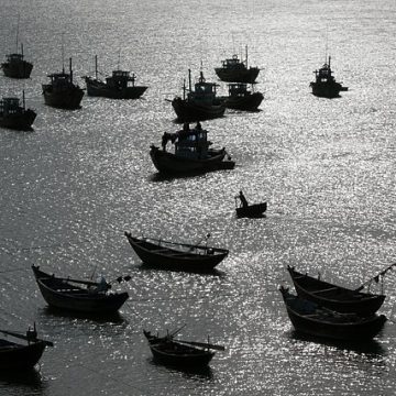 Vietnam is combating IUU fishing