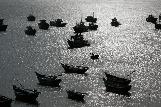 Vietnam fishing boats in Mui Ne harbor: Credit, Wikimedia Commons Vietnam is combating IUU fishing