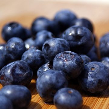 Zimbabwe is an emerging berry exporter