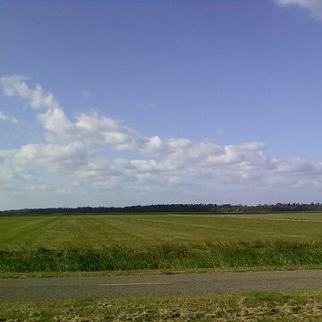 Texas rice fields: Credit, Wikimedia Commons Texas rice