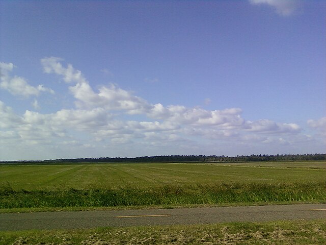 Texas rice fields: Credit, Wikimedia Commons Texas rice
