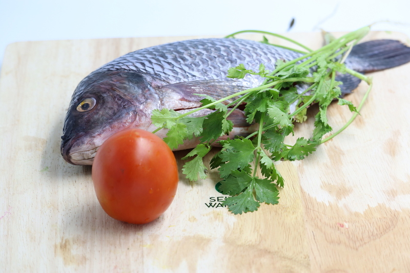 Ethiopia Fish Exporter Supplier Good Prices