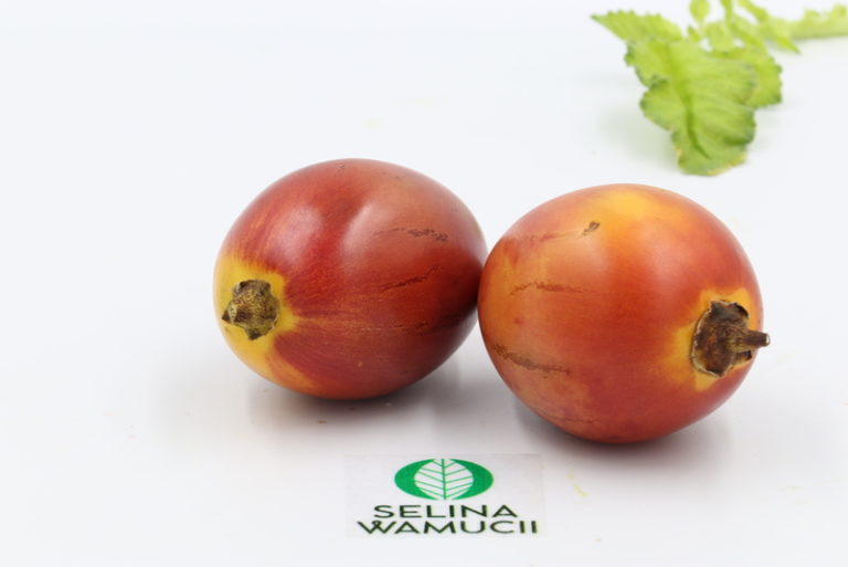 Rwandan tree tomatoes