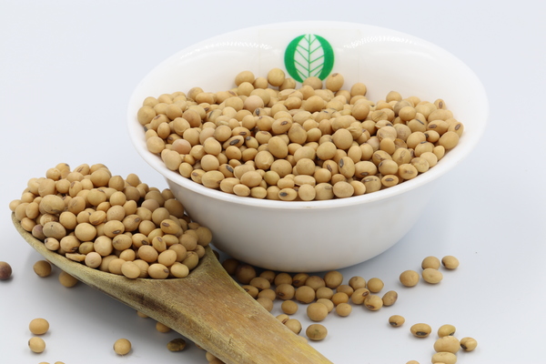 Rwanda Soybeans