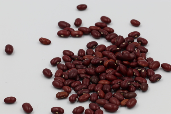 Uganda Kidney Beans